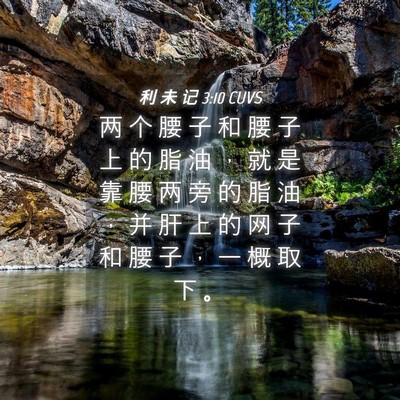 Picture 04 - 利 未 记 3:10 CUVS - 两 个 腰 子 和 腰 子 上 的 脂 油 ， - Bible Verse Picture