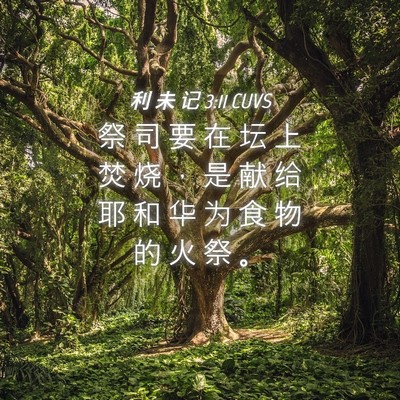Picture 04 - 利 未 记 3:11 CUVS - 祭 司 要 在 坛 上 焚 烧 ， 是 献 给 - Bible Verse Picture