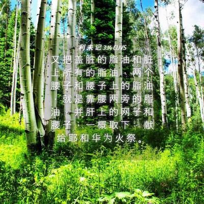 Picture 04 - 利 未 记 3:14 CUVS - 又 把 盖 脏 的 脂 油 和 脏 上 所 有 - Bible Verse Picture