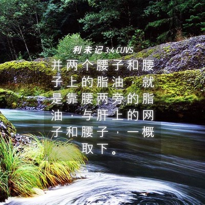 Picture 04 - 利 未 记 3:4 CUVS - 并 两 个 腰 子 和 腰 子 上 的 脂 油 - Bible Verse Picture