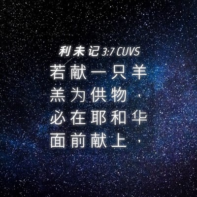Picture 04 - 利 未 记 3:7 CUVS - 若 献 一 只 羊 羔 为 供 物 ， 必 在 - Bible Verse Picture