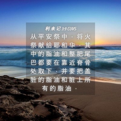 Picture 04 - 利 未 记 3:9 CUVS - 从 平 安 祭 中 ， 将 火 祭 献 给 耶 - Bible Verse Picture