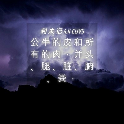 Picture 04 - 利 未 记 4:11 CUVS - 公 牛 的 皮 和 所 有 的 肉 ， 并 头 - Bible Verse Picture