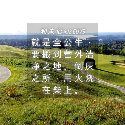 Picture 04 - 利 未 记 4:12 CUVS - 就 是 全 公 牛 ， 要 搬 到 营 外 洁 - Bible Verse Picture
