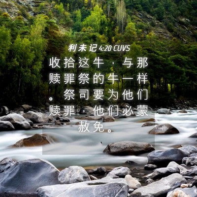 Picture 04 - 利 未 记 4:20 CUVS - 收 拾 这 牛 ， 与 那 赎 罪 祭 的 牛 - Bible Verse Picture