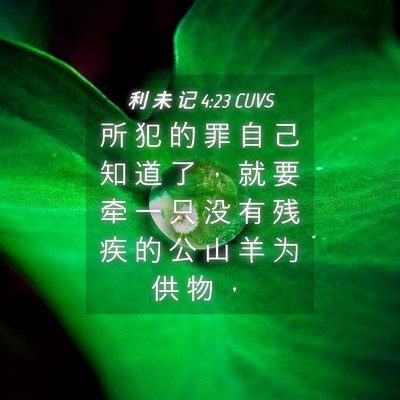 Picture 04 - 利 未 记 4:23 CUVS - 所 犯 的 罪 自 己 知 道 了 ， 就 要 - Bible Verse Picture