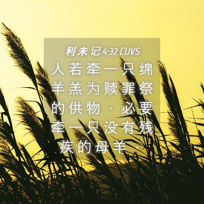 Picture 04 - 利 未 记 4:32 CUVS - 人 若 牵 一 只 绵 羊 羔 为 赎 罪 祭 - Bible Verse Picture