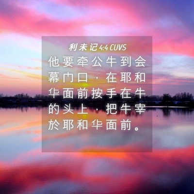 Picture 04 - 利 未 记 4:4 CUVS - 他 要 牵 公 牛 到 会 幕 门 口 ， 在 - Bible Verse Picture