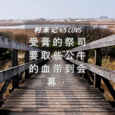 Picture 04 - 利 未 记 4:5 CUVS - 受 膏 的 祭 司 要 取 些 公 牛 的 血 - Bible Verse Picture