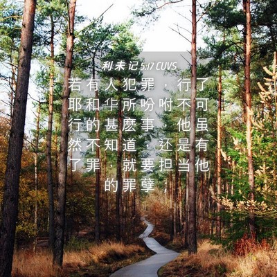 Picture 04 - 利 未 记 5:17 CUVS - 若 有 人 犯 罪 ， 行 了 耶 和 华 所 - Bible Verse Picture