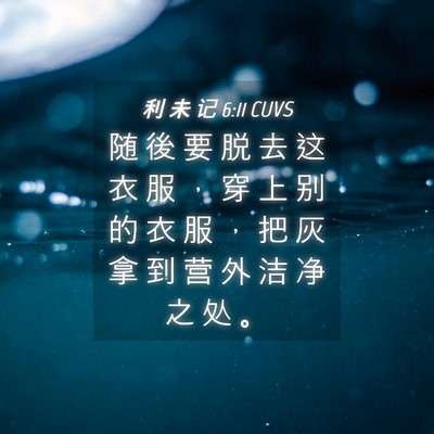 Picture 04 - 利 未 记 6:11 CUVS - 随 後 要 脱 去 这 衣 服 ， 穿 上 别 - Bible Verse Picture