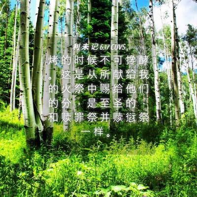Picture 04 - 利 未 记 6:17 CUVS - 烤 的 时 候 不 可 搀 酵 。 这 是 从 - Bible Verse Picture