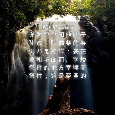 Picture 04 - 利 未 记 6:25 CUVS - 你 对 亚 伦 和 他 的 子 孙 说 ， 赎 - Bible Verse Picture