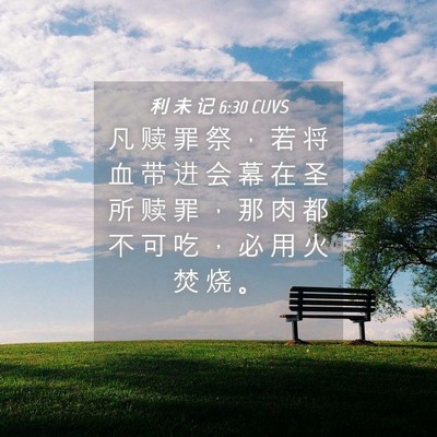 Picture 04 - 利 未 记 6:30 CUVS - 凡 赎 罪 祭 ， 若 将 血 带 进 会 幕 - Bible Verse Picture