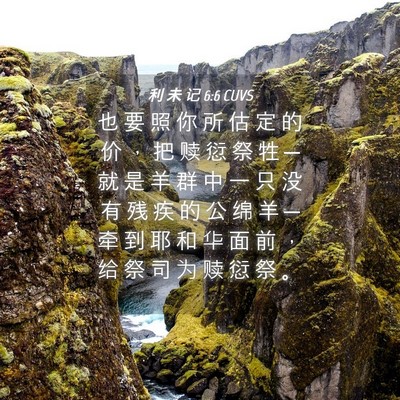 Picture 04 - 利 未 记 6:6 CUVS - 也 要 照 你 所 估 定 的 价 ， 把 赎 - Bible Verse Picture
