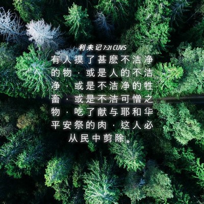 Picture 04 - 利 未 记 7:21 CUVS - 有 人 摸 了 甚 麽 不 洁 净 的 物 ， - Bible Verse Picture