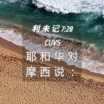 Picture 04 - 利 未 记 7:28 CUVS - 耶 和 华 对 摩 西 说 - Bible Verse Picture