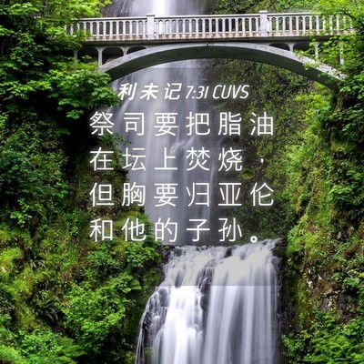 Picture 04 - 利 未 记 7:31 CUVS - 祭 司 要 把 脂 油 在 坛 上 焚 烧 ， - Bible Verse Picture