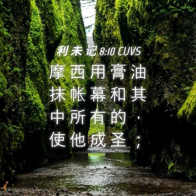 Picture 04 - 利 未 记 8:10 CUVS - 摩 西 用 膏 油 抹 帐 幕 和 其 中 所 - Bible Verse Picture