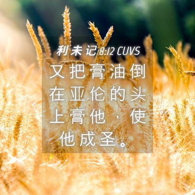 Picture 04 - 利 未 记 8:12 CUVS - 又 把 膏 油 倒 在 亚 伦 的 头 上 膏 - Bible Verse Picture