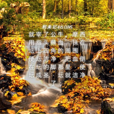 Picture 04 - 利 未 记 8:15 CUVS - 就 宰 了 公 牛 。 摩 西 用 指 头 蘸 - Bible Verse Picture