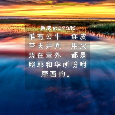 Picture 04 - 利 未 记 8:17 CUVS - 惟 有 公 牛 ， 连 皮 带 肉 并 粪 ， - Bible Verse Picture