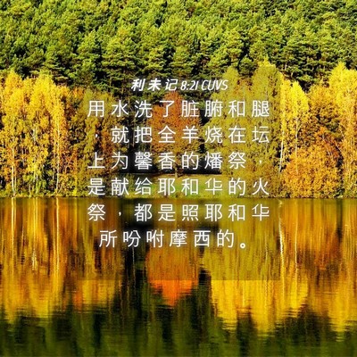 Picture 04 - 利 未 记 8:21 CUVS - 用 水 洗 了 脏 腑 和 腿 ， 就 把 全 - Bible Verse Picture