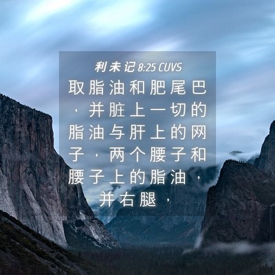 Picture 04 - 利 未 记 8:25 CUVS - 取 脂 油 和 肥 尾 巴 ， 并 脏 上 一 - Bible Verse Picture