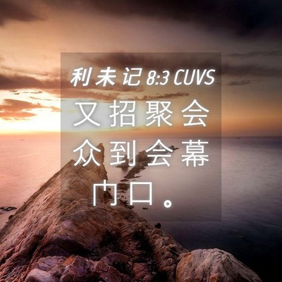 Picture 04 - 利 未 记 8:3 CUVS - 又 招 聚 会 众 到 会 幕 门 口 - Bible Verse Picture