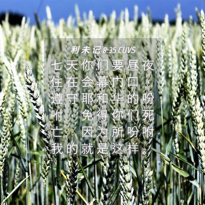 Picture 04 - 利 未 记 8:35 CUVS - 七 天 你 们 要 昼 夜 住 在 会 幕 门 - Bible Verse Picture