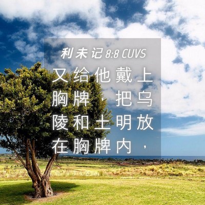 Picture 04 - 利 未 记 8:8 CUVS - 又 给 他 戴 上 胸 牌 ， 把 乌 陵 和 - Bible Verse Picture