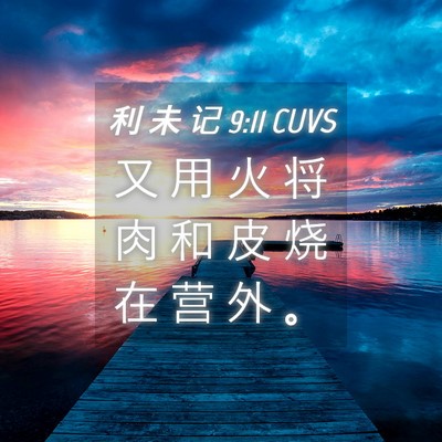 Picture 04 - 利 未 记 9:11 CUVS - 又 用 火 将 肉 和 皮 烧 在 营 外 - Bible Verse Picture