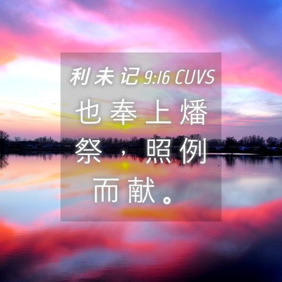 Picture 04 - 利 未 记 9:16 CUVS - 也 奉 上 燔 祭 ， 照 例 而 献 - Bible Verse Picture
