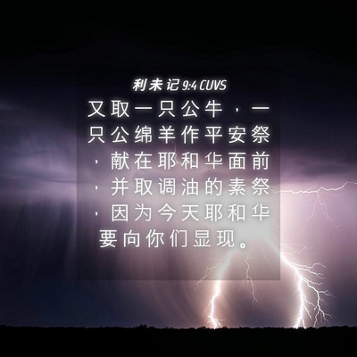 Picture 04 - 利 未 记 9:4 CUVS - 又 取 一 只 公 牛 ， 一 只 公 绵 羊 - Bible Verse Picture
