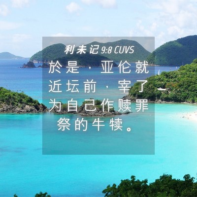 Picture 04 - 利 未 记 9:8 CUVS - 於 是 ， 亚 伦 就 近 坛 前 ， 宰 了 - Bible Verse Picture