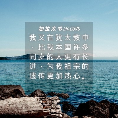 Picture 04 - 加 拉 太 书 1:14 CUVS - 我 又 在 犹 太 教 中 ， 比 我 本 国 - Bible Verse Picture
