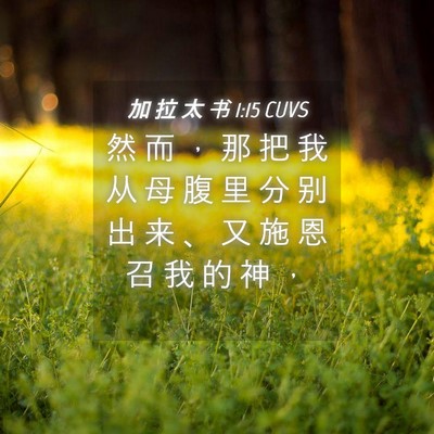 Picture 04 - 加 拉 太 书 1:15 CUVS - 然 而 ， 那 把 我 从 母 腹 里 分 别 - Bible Verse Picture