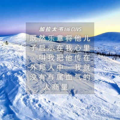 Picture 04 - 加 拉 太 书 1:16 CUVS - 既 然 乐 意 将 他 儿 子 启 示 在 我 - Bible Verse Picture