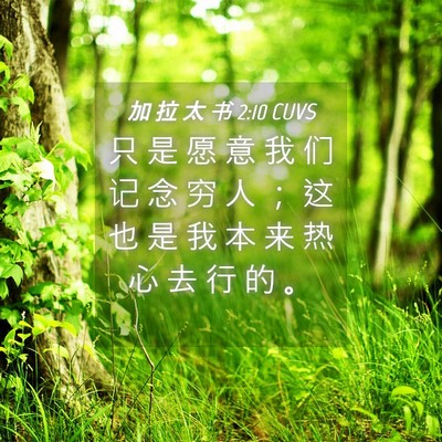 Picture 04 - 加 拉 太 书 2:10 CUVS - 只 是 愿 意 我 们 记 念 穷 人 ； 这 - Bible Verse Picture