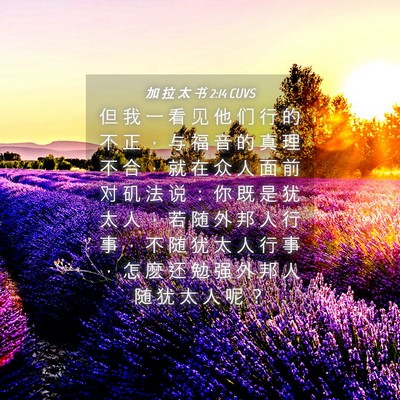 Picture 04 - 加 拉 太 书 2:14 CUVS - 但 我 一 看 见 他 们 行 的 不 正 ， - Bible Verse Picture