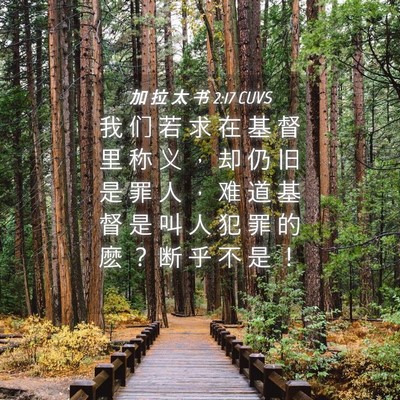 Picture 04 - 加 拉 太 书 2:17 CUVS - 我 们 若 求 在 基 督 里 称 义 ， 却 - Bible Verse Picture