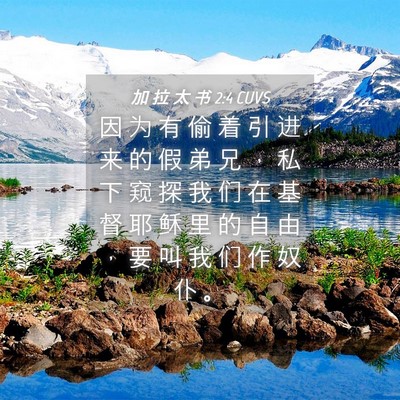 Picture 04 - 加 拉 太 书 2:4 CUVS - 因 为 有 偷 着 引 进 来 的 假 弟 兄 - Bible Verse Picture