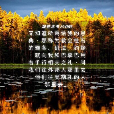 Picture 04 - 加 拉 太 书 2:9 CUVS - 又 知 道 所 赐 给 我 的 恩 典 ， 那 - Bible Verse Picture