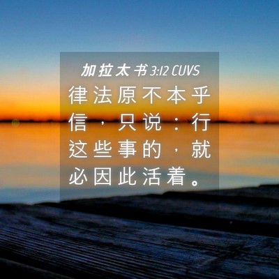 Picture 04 - 加 拉 太 书 3:12 CUVS - 律 法 原 不 本 乎 信 ， 只 说 ： 行 - Bible Verse Picture