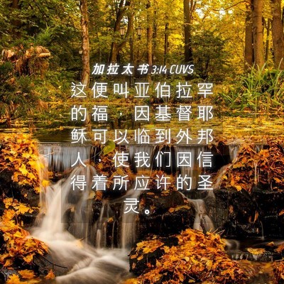 Picture 04 - 加 拉 太 书 3:14 CUVS - 这 便 叫 亚 伯 拉 罕 的 福 ， 因 基 - Bible Verse Picture