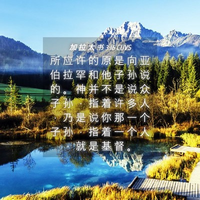 Picture 04 - 加 拉 太 书 3:16 CUVS - 所 应 许 的 原 是 向 亚 伯 拉 罕 和 - Bible Verse Picture