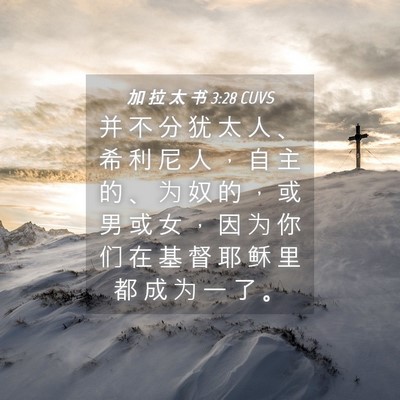 Picture 04 - 加 拉 太 书 3:28 CUVS - 并 不 分 犹 太 人 、 希 利 尼 人 ， - Bible Verse Picture