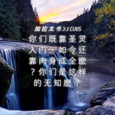 Picture 04 - 加 拉 太 书 3:3 CUVS - 你 们 既 靠 圣 灵 入 门 ， 如 今 还 - Bible Verse Picture