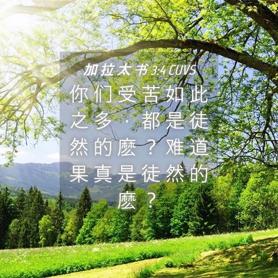 Picture 04 - 加 拉 太 书 3:4 CUVS - 你 们 受 苦 如 此 之 多 ， 都 是 徒 - Bible Verse Picture