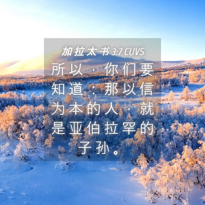 Picture 04 - 加 拉 太 书 3:7 CUVS - 所 以 ， 你 们 要 知 道 ： 那 以 信 - Bible Verse Picture